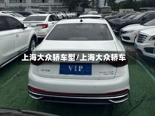 上海大众轿车型/上海大众轿车