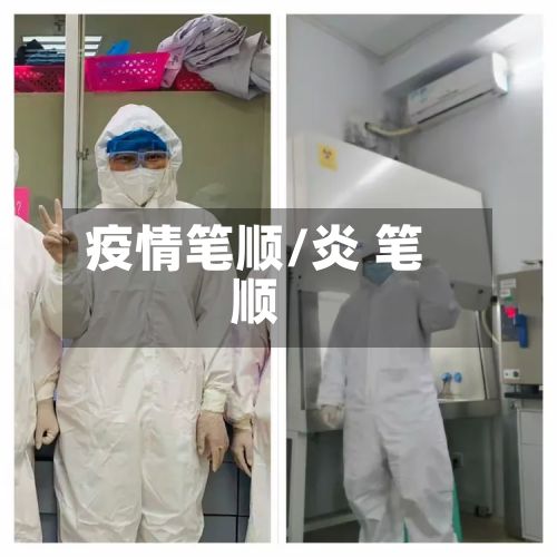 疫情笔顺/炎 笔顺-第2张图片