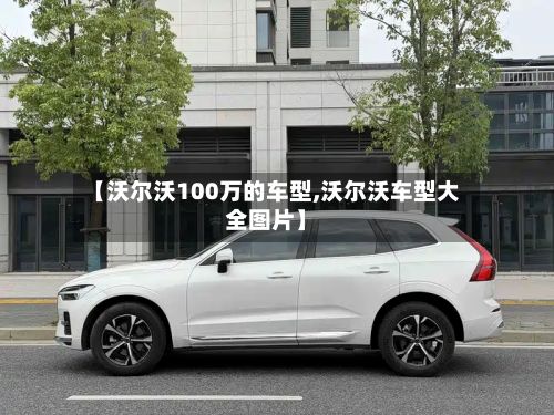 【沃尔沃100万的车型,沃尔沃车型大全图片】-第2张图片
