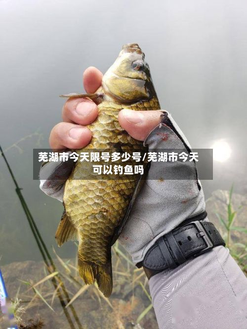 芜湖市今天限号多少号/芜湖市今天可以钓鱼吗