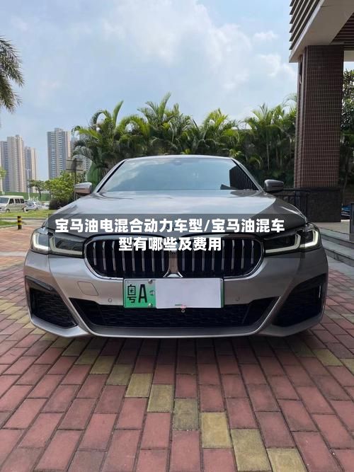 宝马油电混合动力车型/宝马油混车型有哪些及费用-第2张图片