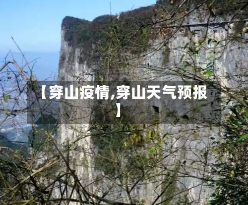 【穿山疫情,穿山天气预报】-第2张图片