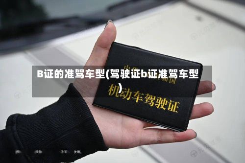 B证的准驾车型(驾驶证b证准驾车型)