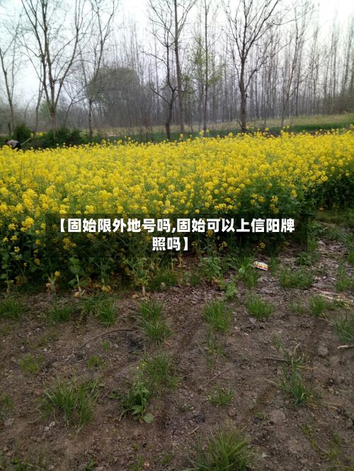 【固始限外地号吗,固始可以上信阳牌照吗】