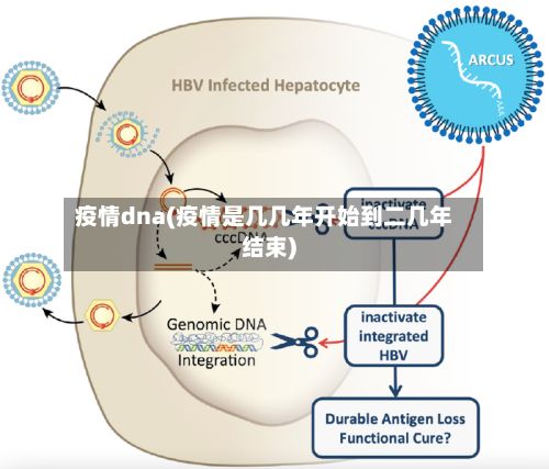 疫情dna(疫情是几几年开始到二几年结束)-第3张图片