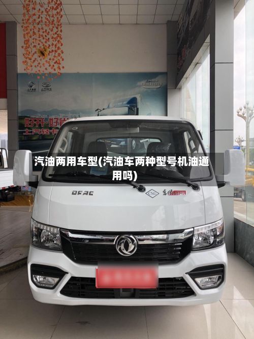 汽油两用车型(汽油车两种型号机油通用吗)-第2张图片
