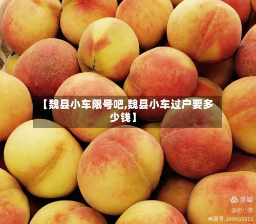 【魏县小车限号吧,魏县小车过户要多少钱】-第2张图片