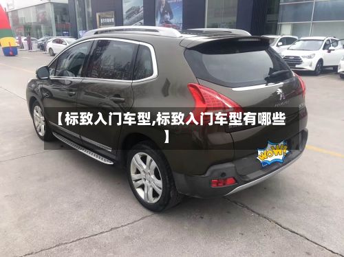 【标致入门车型,标致入门车型有哪些】