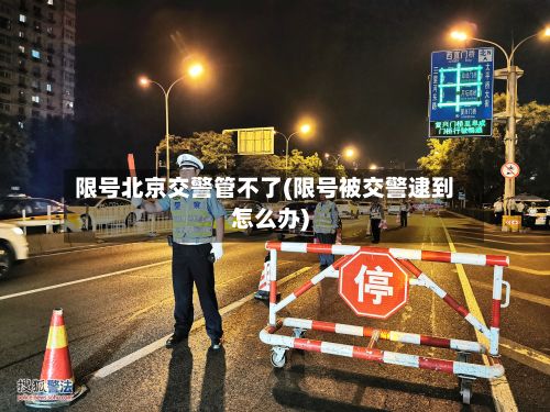限号北京交警管不了(限号被交警逮到怎么办)-第2张图片