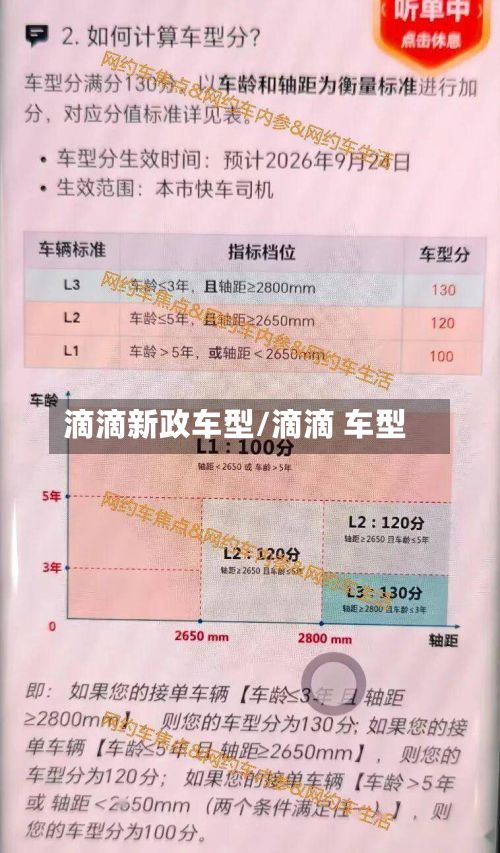 滴滴新政车型/滴滴 车型