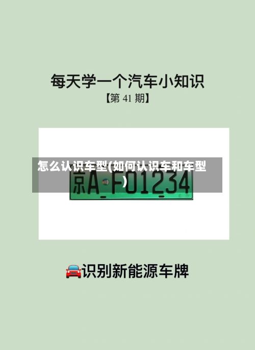 怎么认识车型(如何认识车和车型)