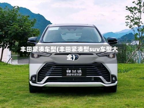 丰田紧凑车型(丰田紧凑型suv车型大全)-第2张图片