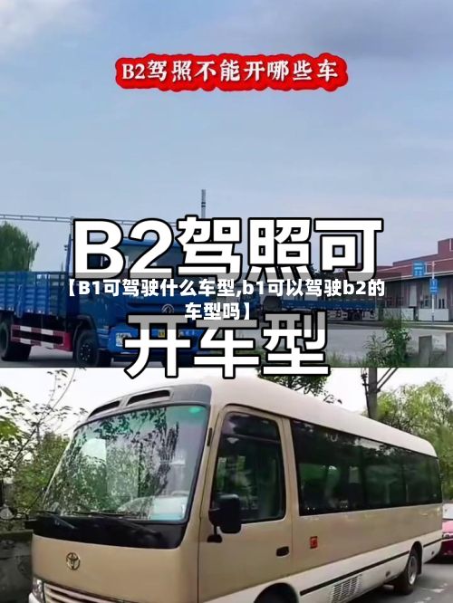 【B1可驾驶什么车型,b1可以驾驶b2的车型吗】-第2张图片