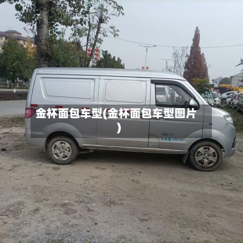 金杯面包车型(金杯面包车型图片)