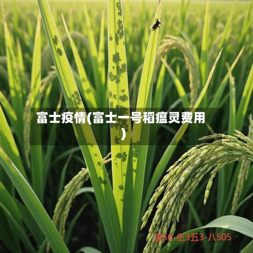 富士疫情(富士一号稻瘟灵费用)