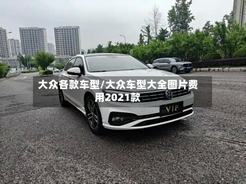 大众各款车型/大众车型大全图片费用2021款